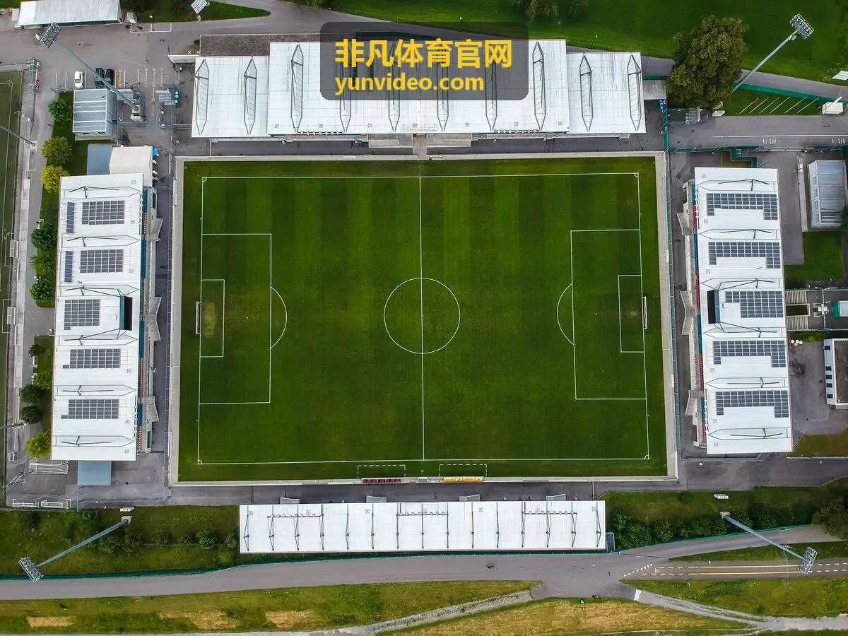 非凡体育官网运动护具挑选条目封面
